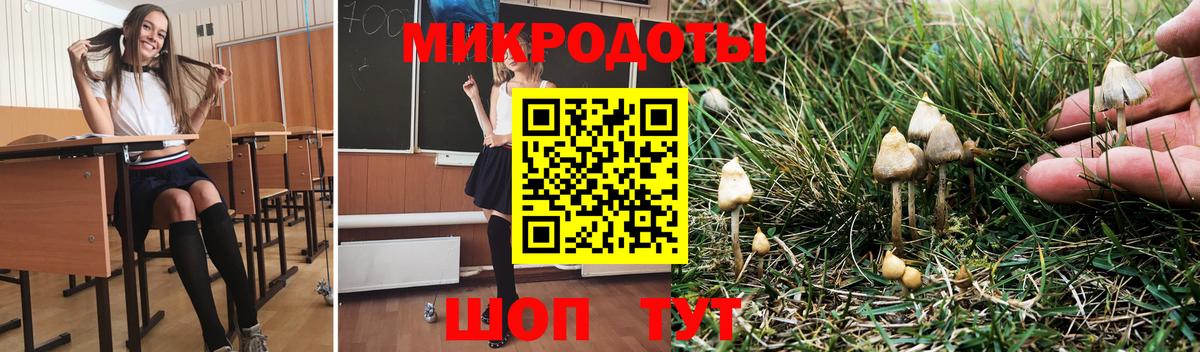 Галлюциногенные грибы GOLDEN TEACHER Чита