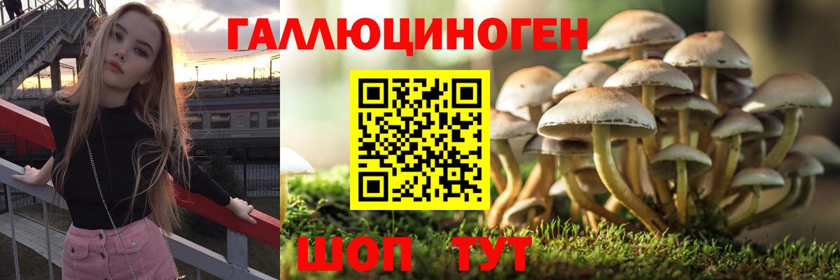 Галлюциногенные грибы Cubensis  Вход с VPN  Псилоцибиновые грибы Psilocybe  Чита 